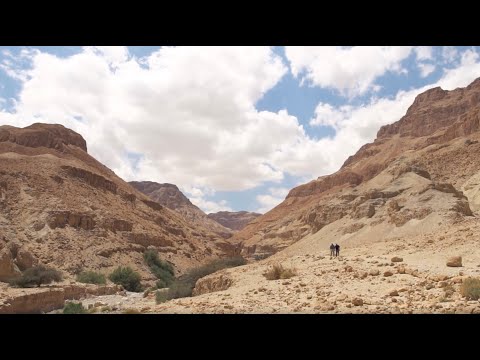 David Water Found in the Deserts of Ein Gedi - Documentaries, Movies & TV - Appian Media