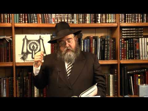 download lagu mp3 mp4 Order Kosher Meat Online, download lagu Order Kosher Meat Online gratis, unduh video klip Order Kosher Meat Online