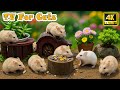 Interactive Cat TV Best Video To Prevent Boredom No Stress For Lonely Cats Realistic Mouse Video