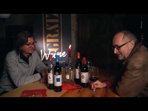 Rhein-Pfalz-Kreis - Kreisjahrbuch 2020