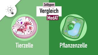 Zelltypen II - Tierzelle vs. Pflanzenzelle Vergleich | MedAT | Biologie