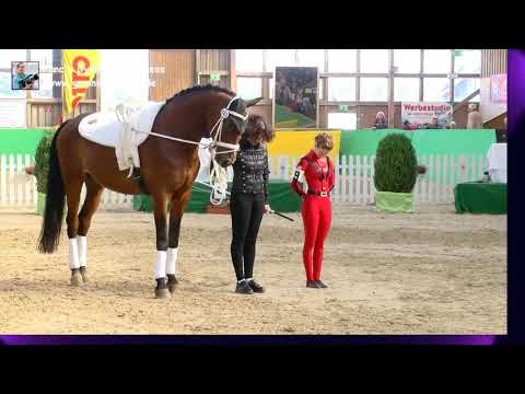 Jana Schuhmacher (RLP) - Damen 10 - DJM Krumke 2019