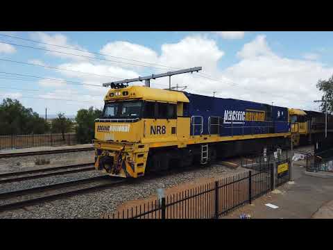 NR8 + NR63 + NR88 #7MP5