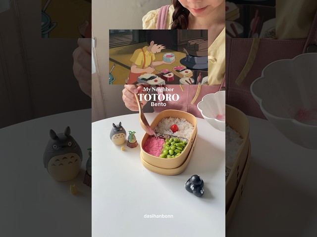 Vídeo relacionado con Skater KB7D-A - Bolsa Bento Box para niños con cordón, diseño de Totoro Ghibli