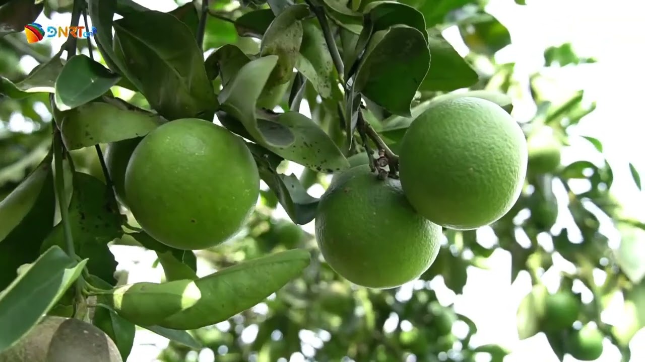 TRẢI NGHIỆM DU LỊCH CỘNG ĐỒNG TRÊN ĐỊA BÀN XÃ THƯỢNG ĐỨC