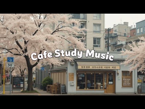 벚꽃 카페 공부 음악 📖 Lofi Study Vibes | 집중을 위한 로파이 플레이리스트