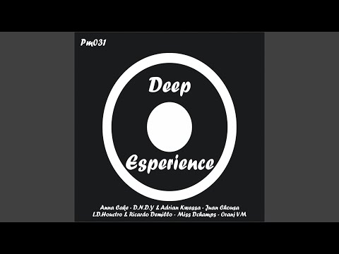 Vanne Disco Infierno (Original Mix)