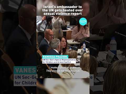 Israeli ambassador to the UN yells at UN special representative