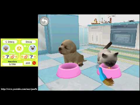 Littlest Pet Shop Friends : A la Plage Nintendo DS