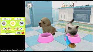 Download lagu Petz Puppys & Kittenz Gameplay (2011 DS) 1080p HD HQ Playable on Nintendo DSi 3DS DSXL mp3