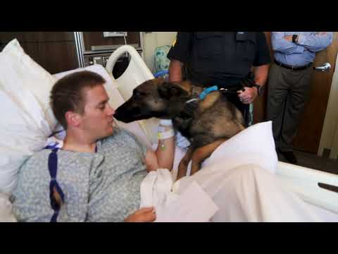 Injured Auburn officer visited by K9 partner