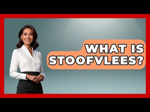What Is Stoofvlees? - Exploring The Benelux