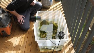 Super Simple Auto Fish Feeder - Just What I Wanted