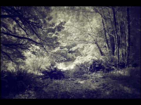 Mira Calix with Oliver Coates - In A Beautiful Place Out In The Country (Boards Of Canada cover)