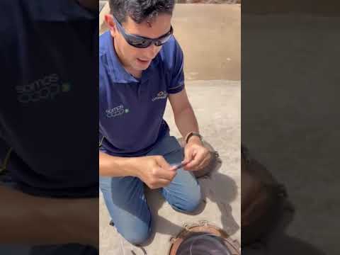 Instalação de Sensor Ambiental: O Segredo da Vedação