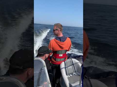 21 knots swimming & deep diving skirted trolling lure test