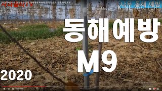 [사과재배] 나무 많이 얼수 있다. 동해예방.복숭아 주지 일소. 나무좀.측지.적심