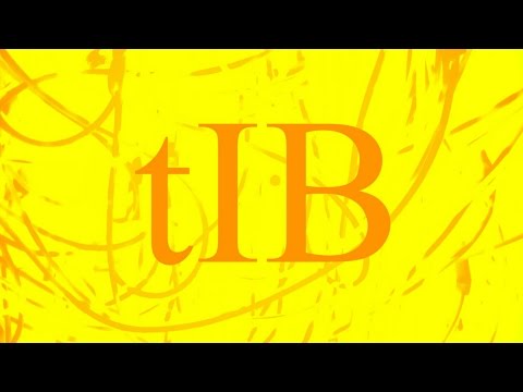 tIB - Modular Meets The Elektrons 2015 Performance