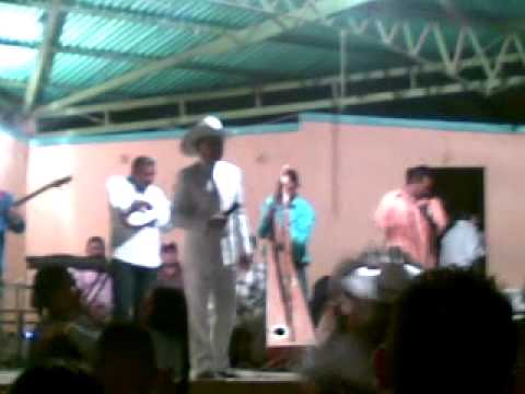 Francisco Montoya en Zaraza - Cucarachero Araucano