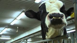 Download lagu Semex Corporate Video mp3