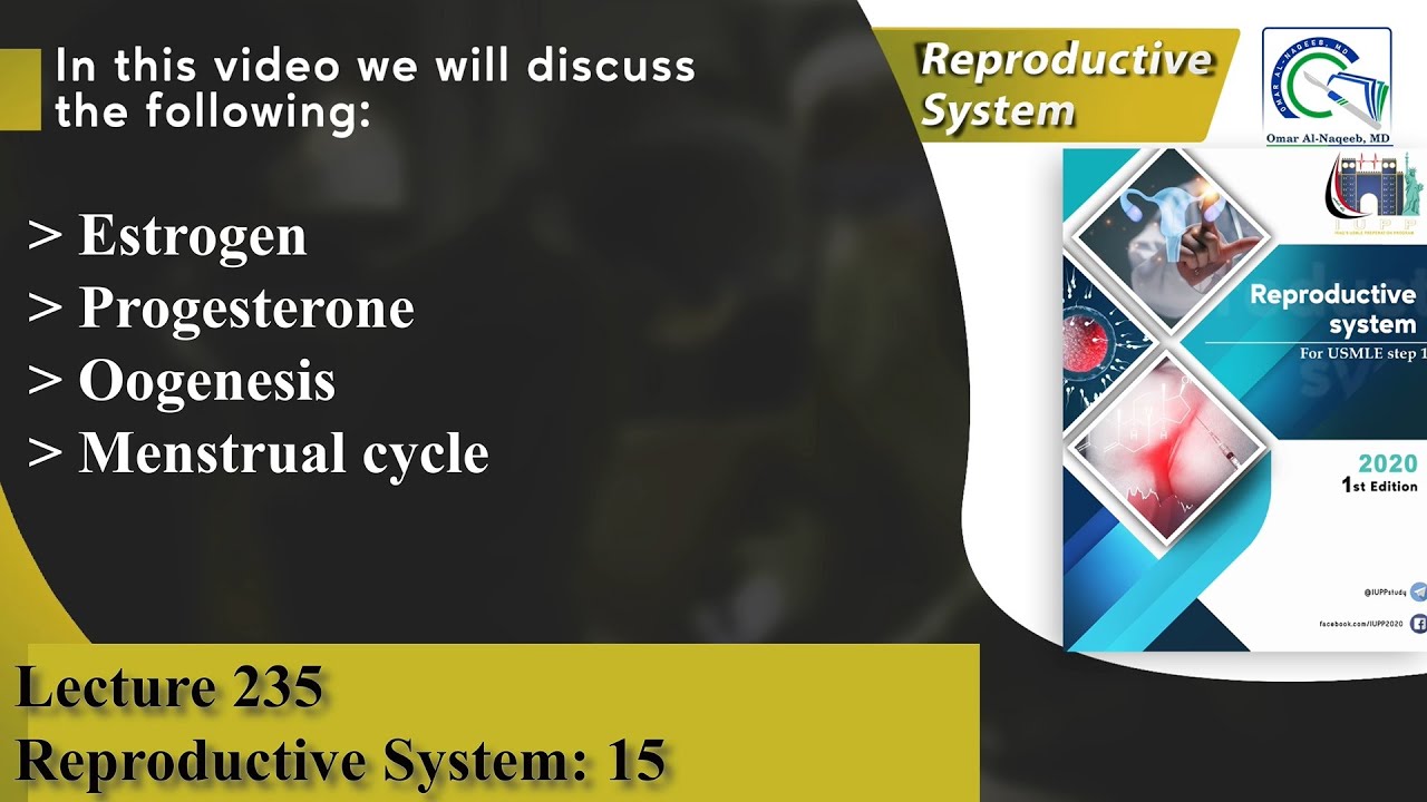 Estrogen | Progesterone | Oogenesis | Menstrual cycle