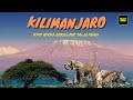 Gunung Kilimanjaro ǀ Atap Benua Afrika Yang Berselimut Salju Abadi