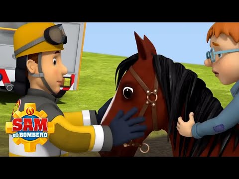 Un caballo en Peligro | Sam el Bombero en Espanol |  Dibujos animados