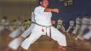 Seminar Karate Shotokan - Shirai Sensei 2015 | Семинар по каратэ Шотокан - мастер Хироши Шираи. Подробней на нашем сайте