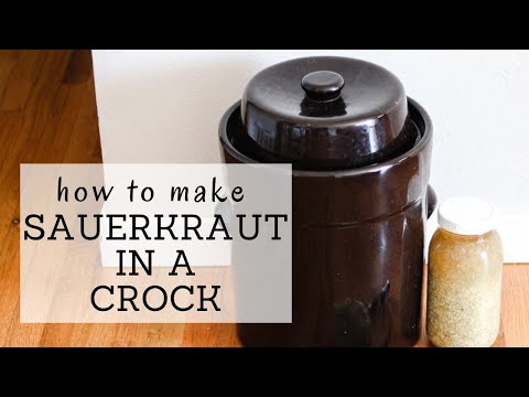 Sauerkraut Crock Recipe | HOW TO MAKE SAUERKRAUT IN A CROCK | Bumblebee Apothecary
