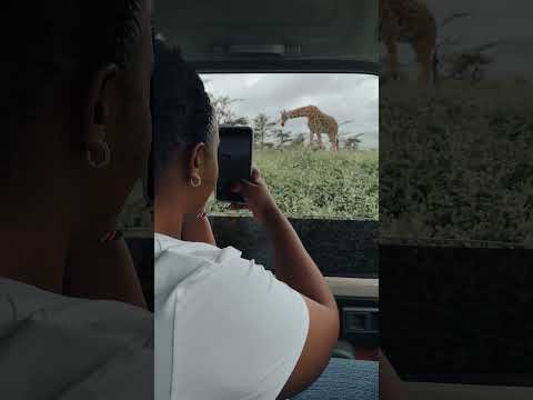 Safari with Tecomate tours in Tanzania National Parks