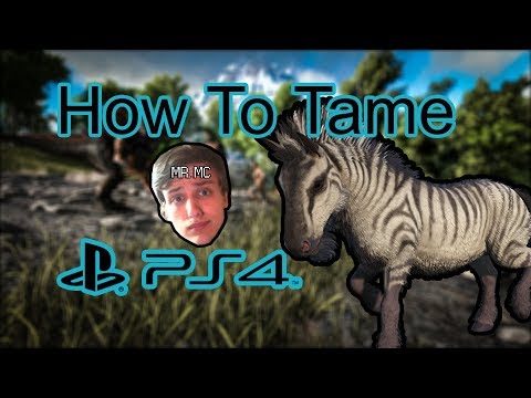Ark Survival Evolved how to tame the Equus on PS4