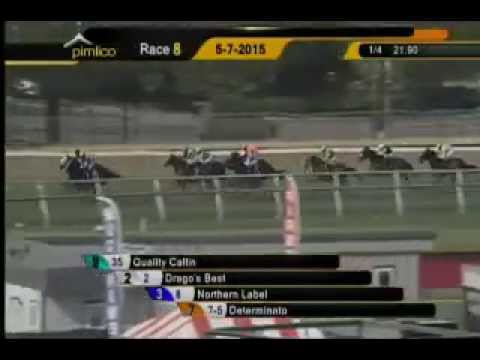 Pimlico 05/07/15 race 8