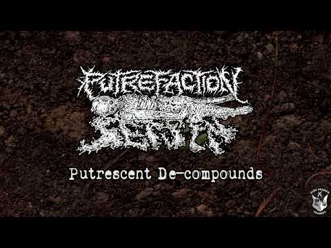 Putrefaction Sets In - Putrescent De-compounds [SINGLE] (2024 - Goregrind)