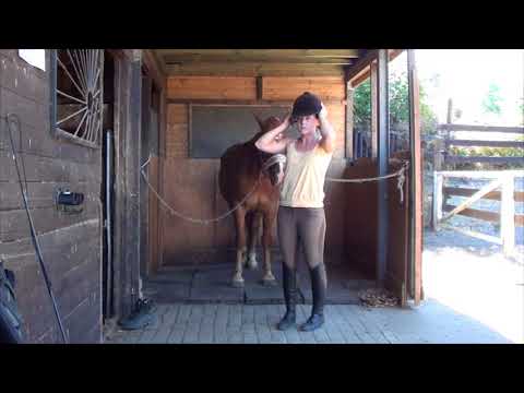 MUSTANG MAKEOVER 2018 Team Anja (TAG 3979) - Update 7