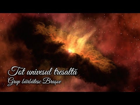 TOT UNIVERSUL TRESALTĂ / Grup bărbătesc Brașov - AZSMR