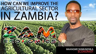 AGRICULTURE IN ZAMBIA - HOW CAN WE IMPROVE THIS SE