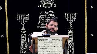 זבחים דף ח' ע''ב ¤ הרב נתנאל אברז'ל ¤ בית הכנסת "בית מרדכי" (מוסדות תורת דוד) - התמונה מוצגת ישירות מתוך אתר האינטרנט יוטיוב. זכויות היוצרים בתמונה שייכות ליוצרה. קישור קרדיט למקור התוכן נמצא בתוך דף הסרטון