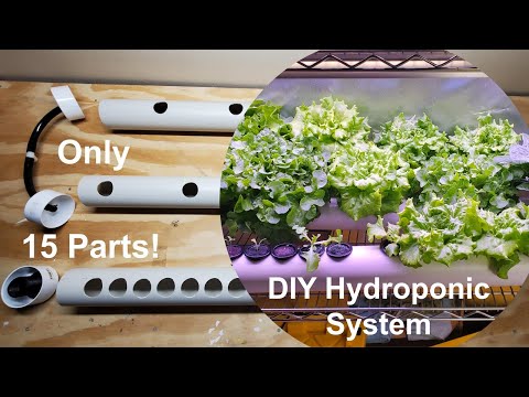 Video: DIY Hydroponic System with 15 Parts (NFT)