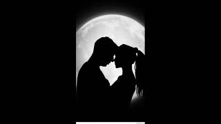 ZUCCHERO FORNACIARI STIAMO INSIEME REYT65GIUSEPPE COVER