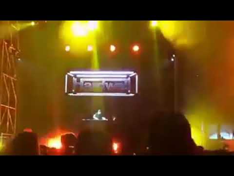 Hardwell stops his set to stop a fight
