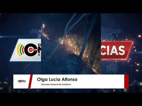 Los incendios forestales dejan un impacto devastador en los ecosistemas del Tolima