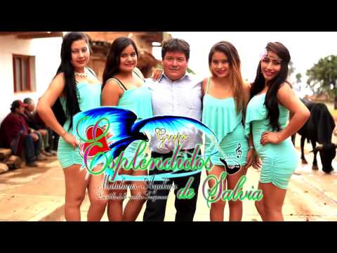 CONTENTA TE VAS. ESPLENDIDOS DE SALVIA. HD.4K. VIDEOCLIP