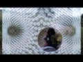 Starsailor  - Fever