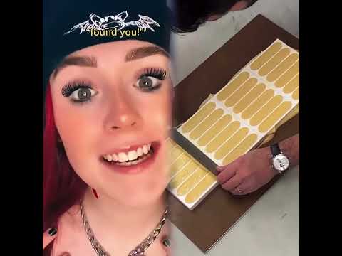 #pov people are chosen to be either a hider or a seeker, those found by the seekers d1e…