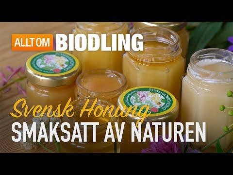 , title : 'Svensk honung - Smaksatt av naturen | Bra platser för bigårdar - Biodling'