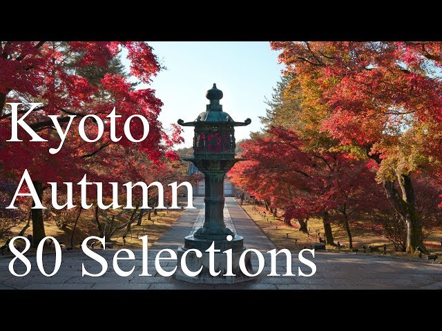 Mùa thu tuyệt đẹp tại Kyoto Nhật Bản