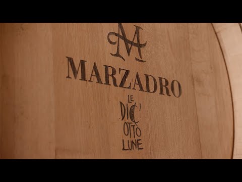Distilleria Marzadro in 60 secondi