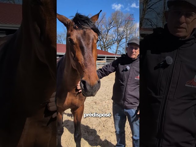 Gabi &ndash; Le charisme et l&rsquo;&eacute;quilibre au naturel