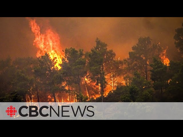 Rhodes wildfire in Greece prompts largest evacuation in its history