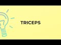 What Is The Meaning Of The Word TRICEPS